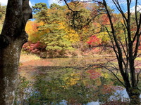 2507六甲山森林植物園