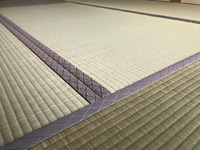 2289−低農薬畳表
