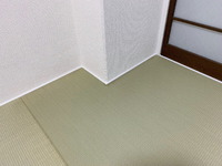 2428¿À¸Í»ÔÃæ±û¶è