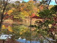 2506六甲山森林植物園
