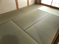 2290-低農薬畳表