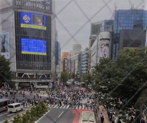 1-3渋谷_スクランブル交差点