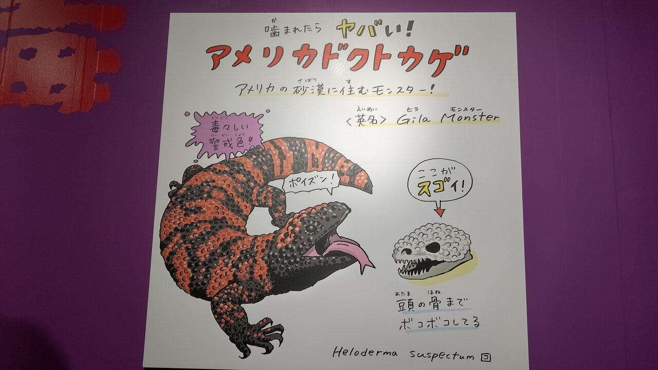 フライングすしざんまい ドラクエやると毎日がパ リなぃ