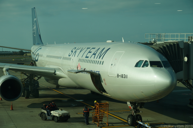 th_DSC08104