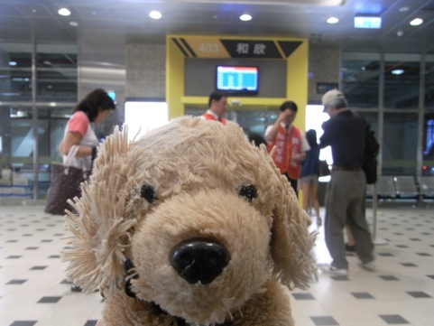 ba537f17.jpg