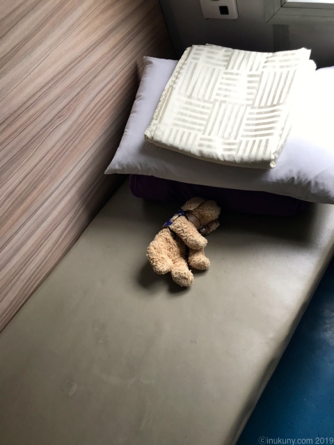 th_IMG_4625