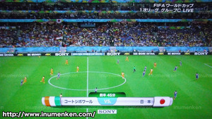 tv_11(サッカーW杯「日本VSコートジボワール」試合開始