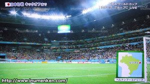 tv_07((サッカーW杯「日本VSコートジボワール」スタジアム