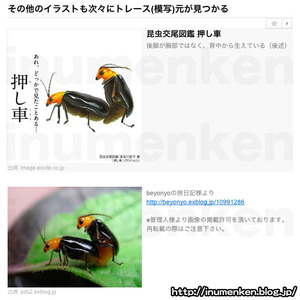 m_g_43「昆虫交尾図鑑」トレースor模写の検証画像