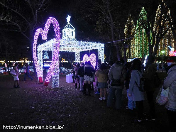 n_p_105(元渕江公園「光の祭典」(足立区・保木間)