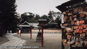 m_k_08(NONFIX「オタクと町が萌えた夏」らき☆すた_鷲宮神社内