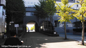 n_s_323(総合スポーツセンター_(足立区・東保木間)