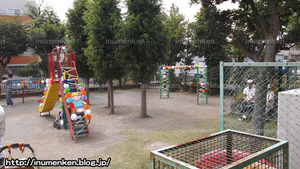 n_p_82(東花畑・幼稚園の運動会_(足立区・南花畑)