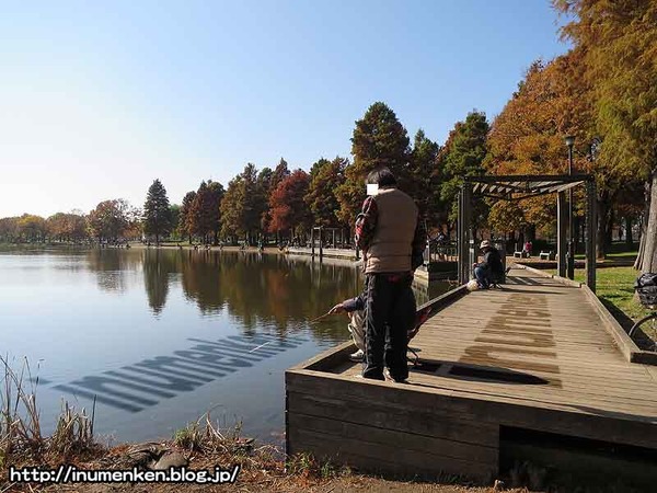 n_s_747(舎人公園_釣り場(足立区)
