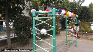 n_p_84(東花畑・幼稚園の運動会_うんてい(足立区・南花畑)