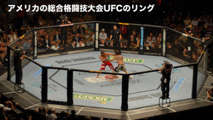 n_s_353(総合格闘技大会UFCのリング「オクタゴン」