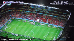 tv_06((サッカーW杯「日本VSコートジボワール」スタジアム