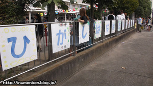 n_p_75_(幼稚園の運動会_(足立区・東花畑)