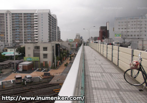 n_n_71(西新井・歩道橋_上