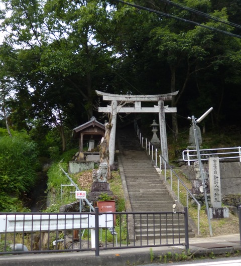 P1020110