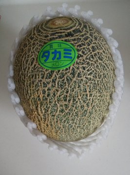 Ea6QeLaVAAEwVQm