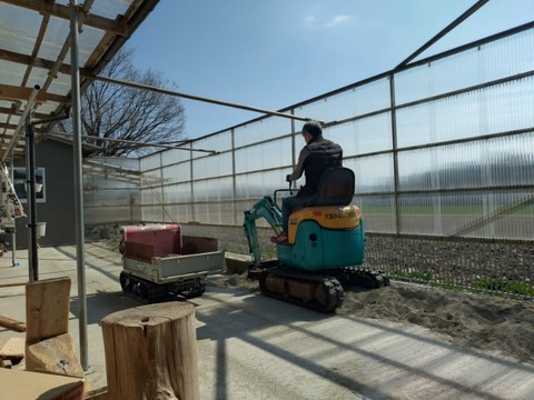 20260317_101022_copy_800x600