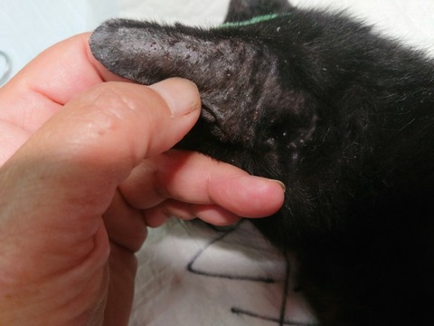 DSC_0001_BURST20190918094019672-800x600