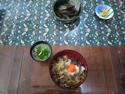 20251210_123155_copy_800x600