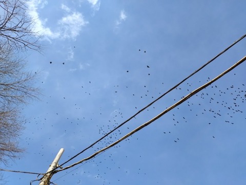 20260202_133426_copy_800x600