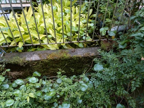 20260523_101851_copy_800x600