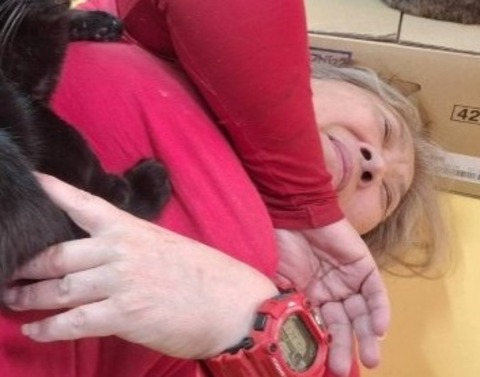 1768035996743_copy_800x628