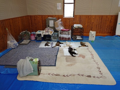 DSC_3382_copy_800x600