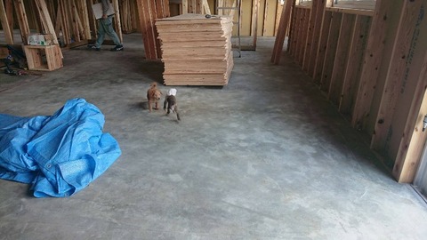 1572649953929-800x450