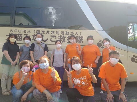 DSC_0609_copy_800x600