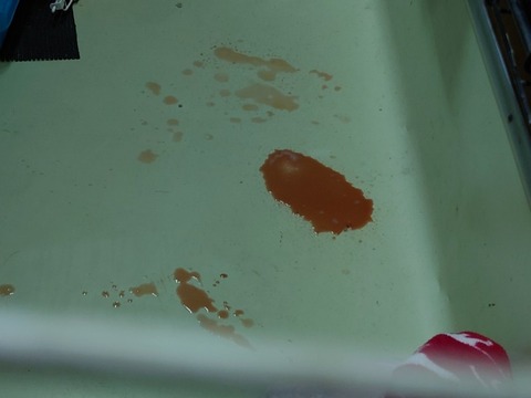 20230217_195315_copy_800x600