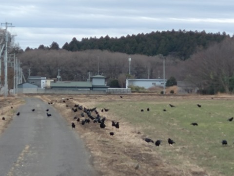 20260211_153902_copy_800x600