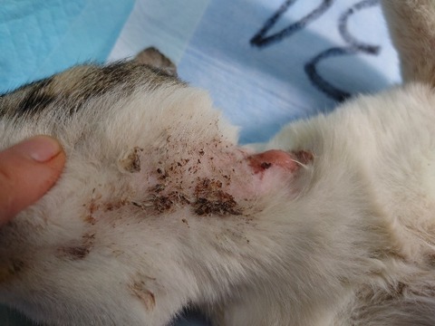 20220722_111009_copy_800x600