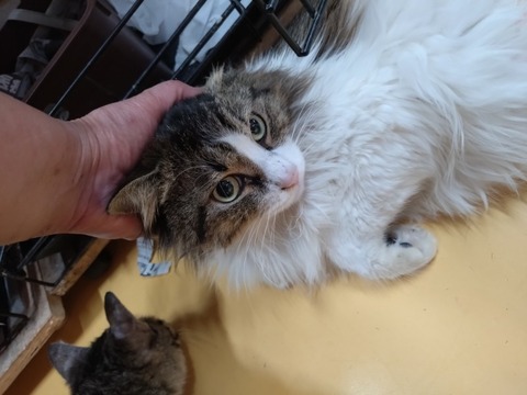 20260316_080808_copy_800x600