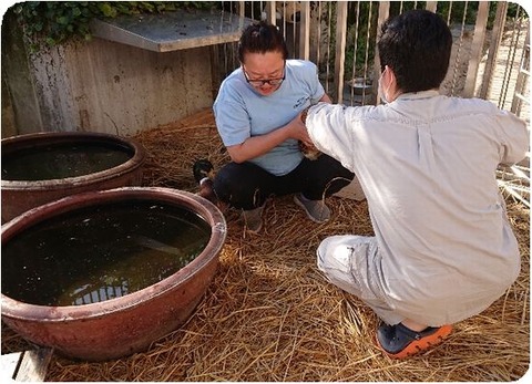 DSCPDC_0003_BURST20190524075