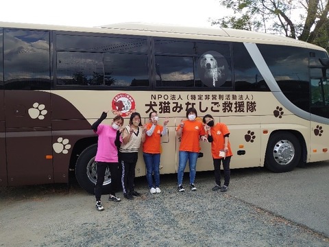 DSC_1710_copy_800x600_copy_800x600