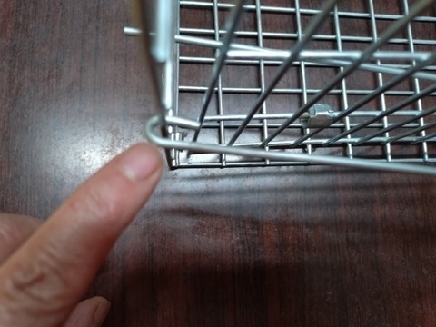 20251228_135022_copy_800x600