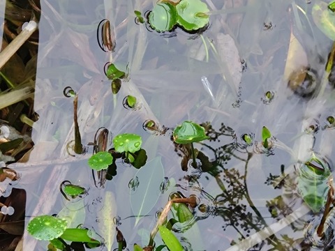 20260410_080838_copy_800x600