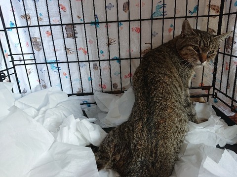 DSC_5428_copy_800x600