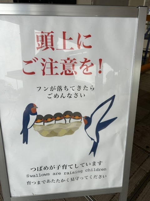 1776846555387_copy_600x800