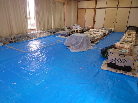 20230405_111210_copy_800x600