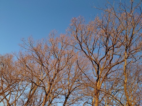 20231226_072107_copy_800x600