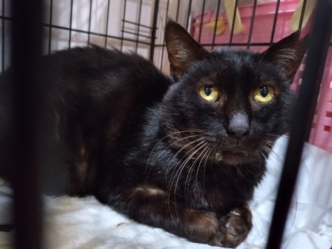 20251212_143623_copy_800x600