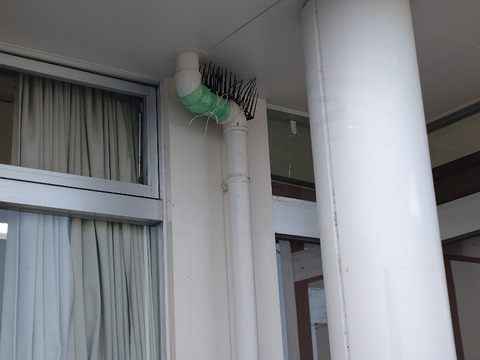 20240419_165043_copy_800x600