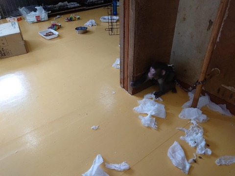 DSC_2760_copy_800x600