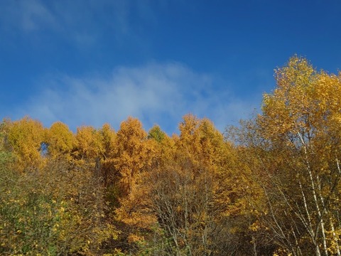 DSC_1890_copy_800x600